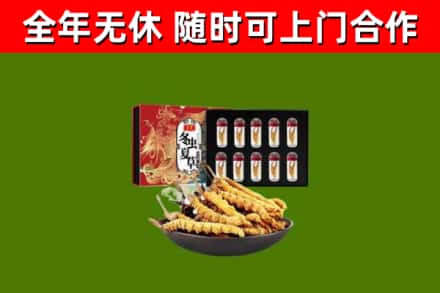 龙川县烟酒回收冬虫夏草礼盒.jpg